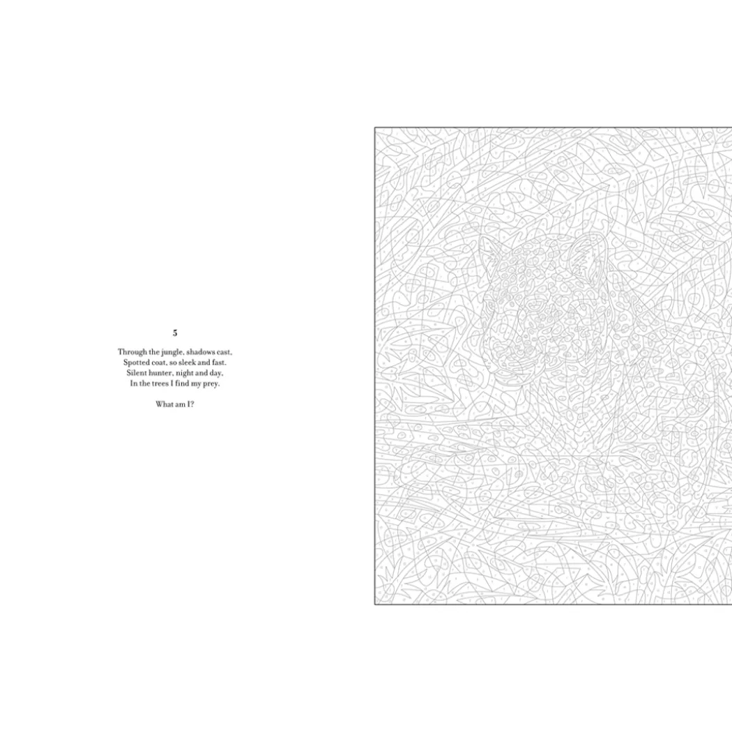 Mystery Coloring Wild Animals
