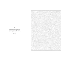 Mystery Coloring Wild Animals