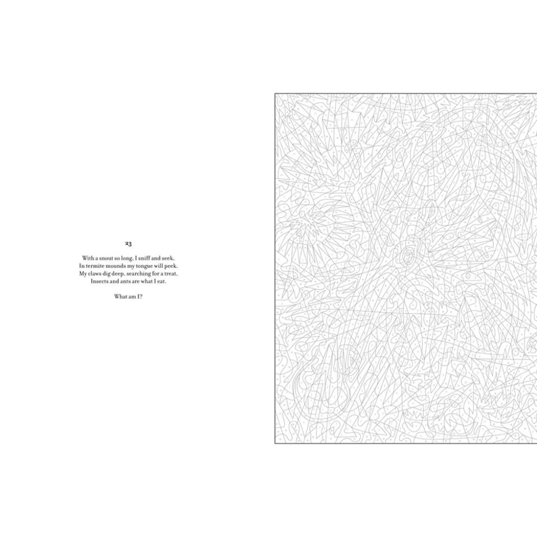 Mystery Coloring Wild Animals