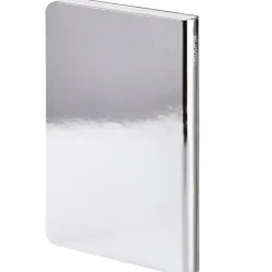 Notebook Shiny Starlet S - Silver