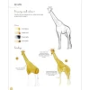 Paint 50: Watercolour Animals