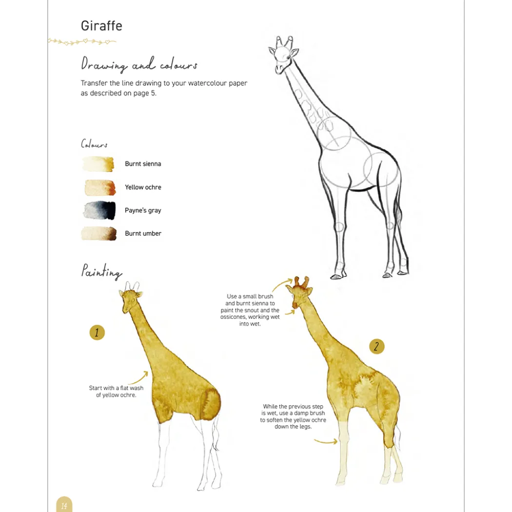 Paint 50: Watercolour Animals