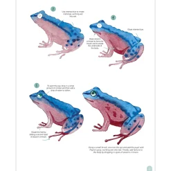 Paint 50: Watercolour Animals