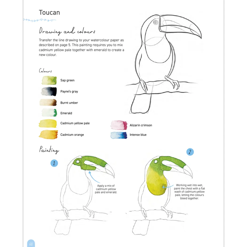Paint 50: Watercolour Animals