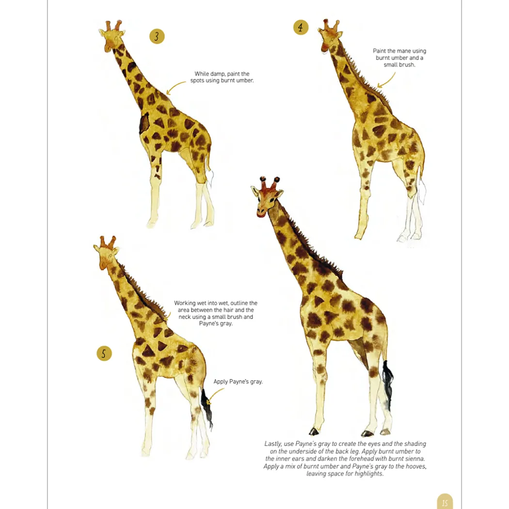 Paint 50: Watercolour Animals