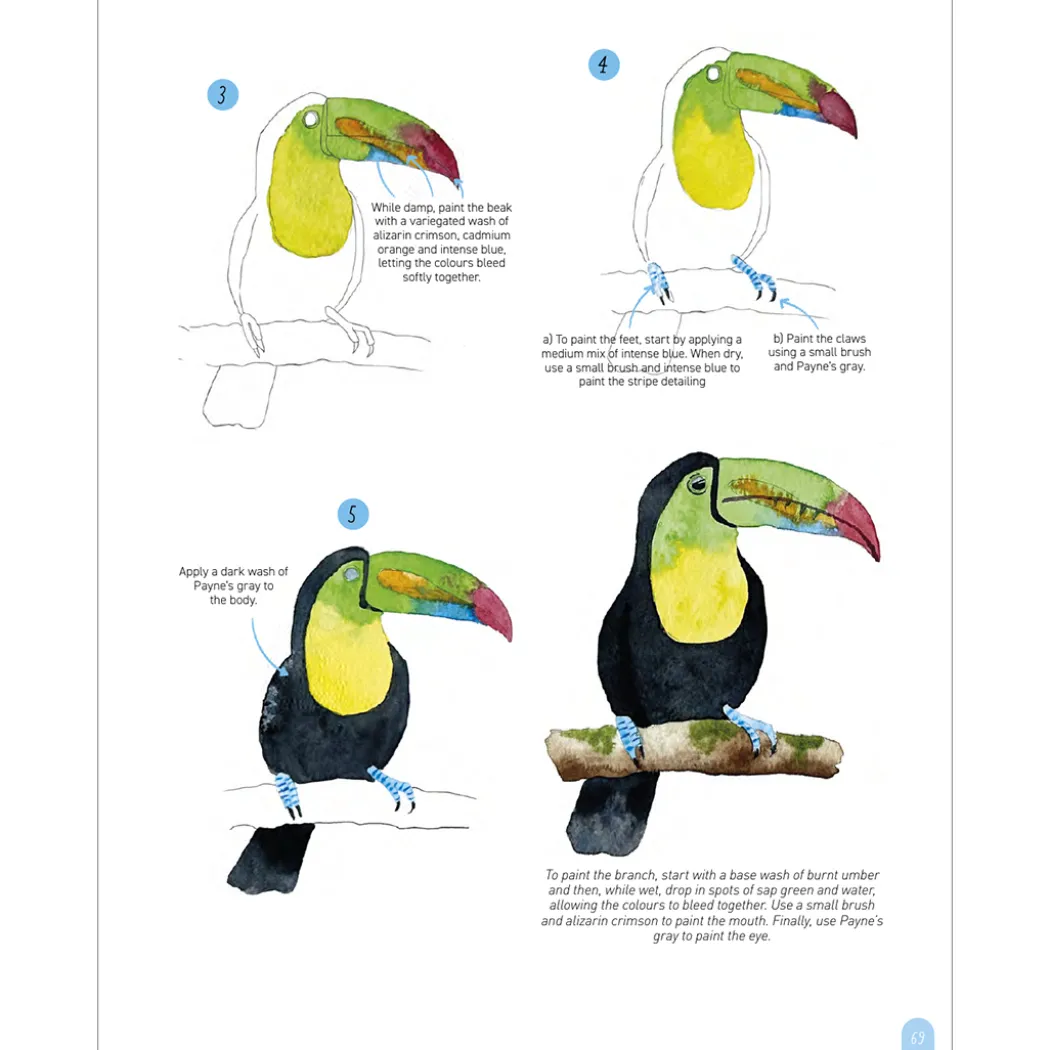Paint 50: Watercolour Animals