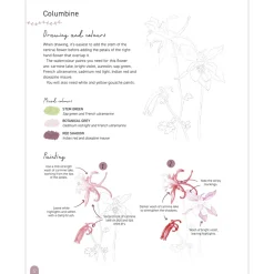 Paint 50: Watercolour Flowers