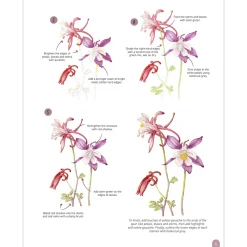 Paint 50: Watercolour Flowers