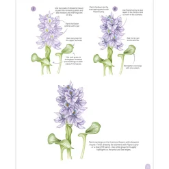 Paint 50: Watercolour Flowers