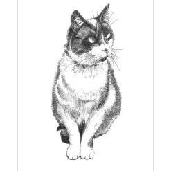 Pen and Ink Drawing Techniques