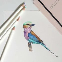 Pencil Irojiten set Seascape