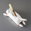 Pennfodral Astro Cat Mikeco
