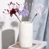 Piprensare 30 cm 50-pack