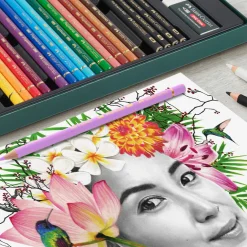 Polychromos & Pitt Graphite Matt Set 17 färgpennor + 4 grafitpennor