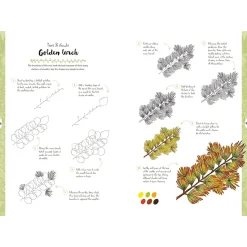 10 Step Drawing: Botanicals
