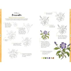 10 Step Drawing: Botanicals