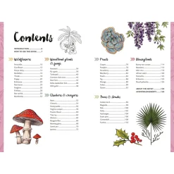 10 Step Drawing: Botanicals