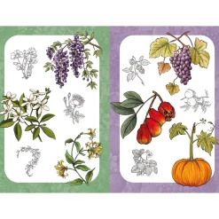 10 Step Drawing: Botanicals