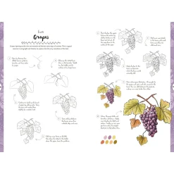 10 Step Drawing: Botanicals