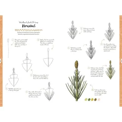 10 Step Drawing: Botanicals