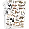 Sticker vilda djur 6 Ark
