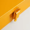 Storage Case Bright Yellow
