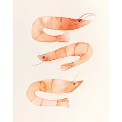 The Colour Mixing Guide: Watercolour Seashore