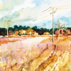 The Innovative Artist: Capturing Light