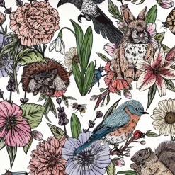 The Kew Book of Drawing Flora and Fauna