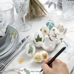 Torkade blommor och blad Råvit