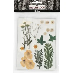 Torkade blommor och blad Råvit
