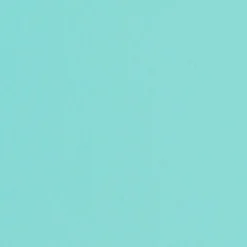 T190 Trunk Shape Toolbox Turquoise